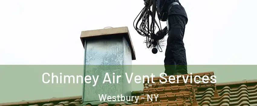  Chimney Air Vent Services Westbury - NY