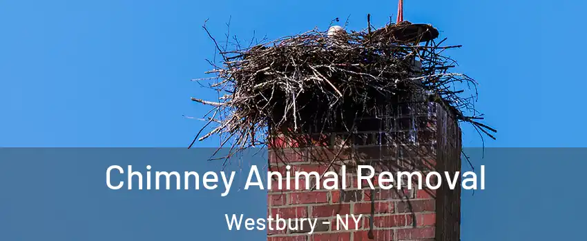 Chimney Animal Removal Westbury - NY