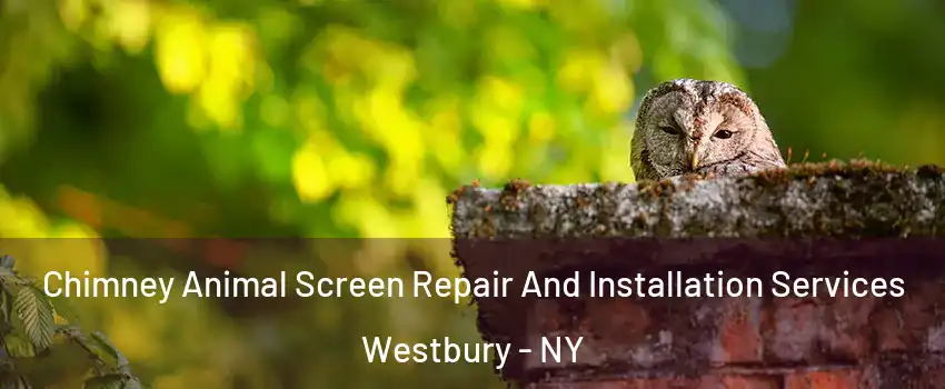  Chimney Animal Screen Repair And Installation Services Westbury - NY