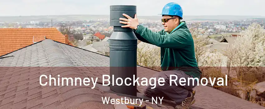  Chimney Blockage Removal Westbury - NY