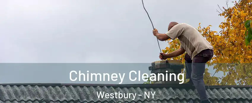  Chimney Cleaning Westbury - NY