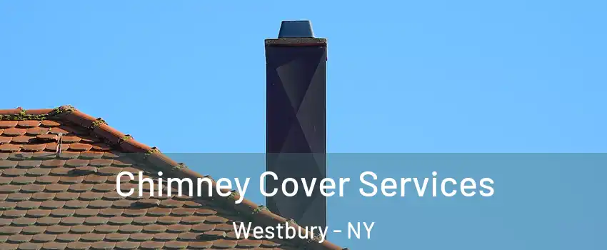  Chimney Cover Services Westbury - NY