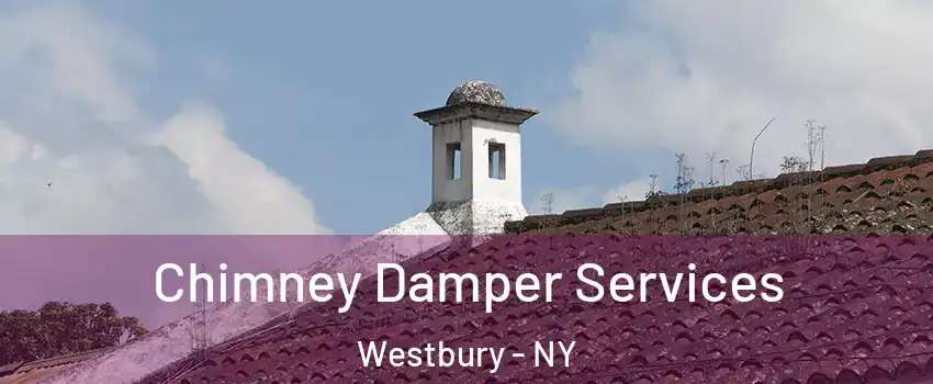  Chimney Damper Services Westbury - NY