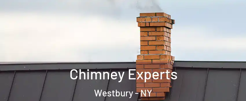 Chimney Experts Westbury - NY