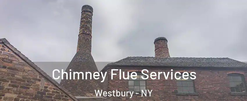  Chimney Flue Services Westbury - NY