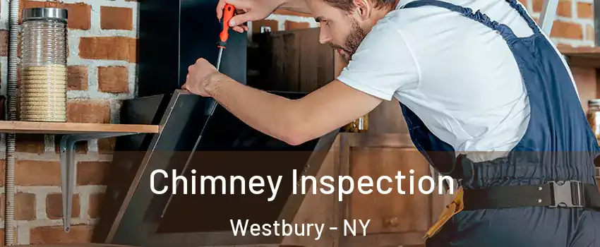  Chimney Inspection Westbury - NY
