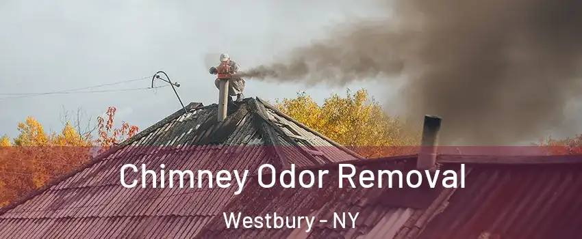  Chimney Odor Removal Westbury - NY