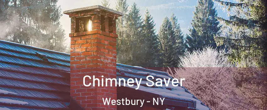  Chimney Saver Westbury - NY