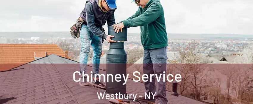  Chimney Service Westbury - NY