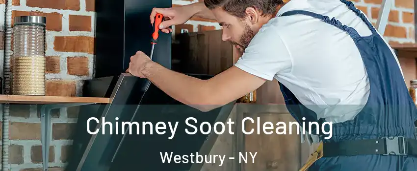  Chimney Soot Cleaning Westbury - NY
