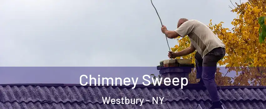  Chimney Sweep Westbury - NY