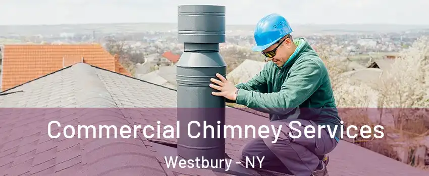  Commercial Chimney Services Westbury - NY