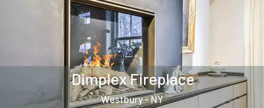  Dimplex Fireplace Westbury - NY