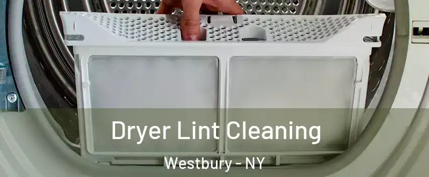  Dryer Lint Cleaning Westbury - NY