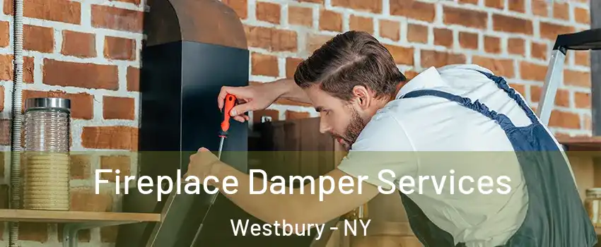  Fireplace Damper Services Westbury - NY