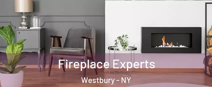  Fireplace Experts Westbury - NY
