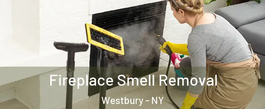  Fireplace Smell Removal Westbury - NY