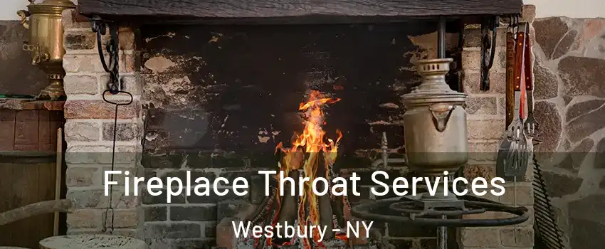  Fireplace Throat Services Westbury - NY