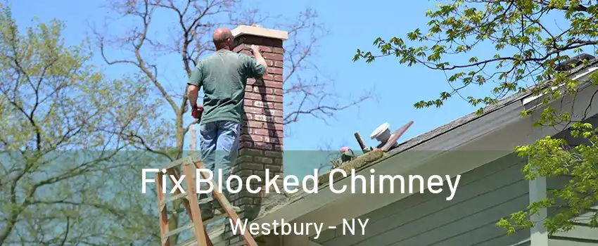  Fix Blocked Chimney Westbury - NY