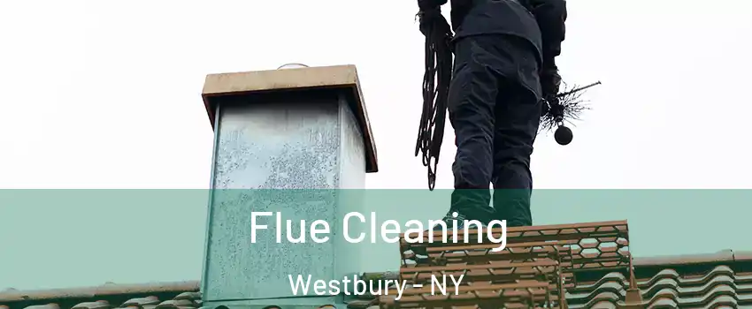  Flue Cleaning Westbury - NY