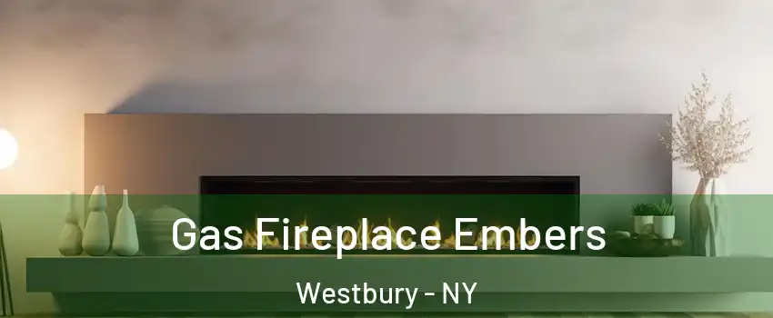  Gas Fireplace Embers Westbury - NY