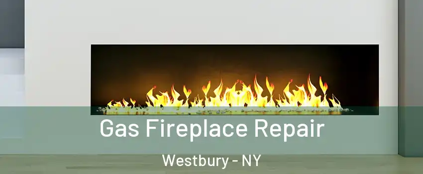  Gas Fireplace Repair Westbury - NY