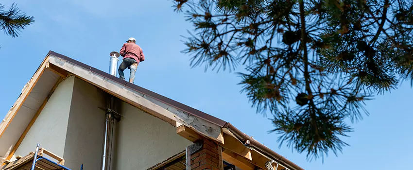 Birds Removal Contractors from Chimney in Westbury, NY