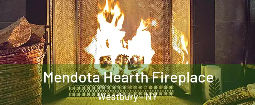  Mendota Hearth Fireplace Westbury - NY