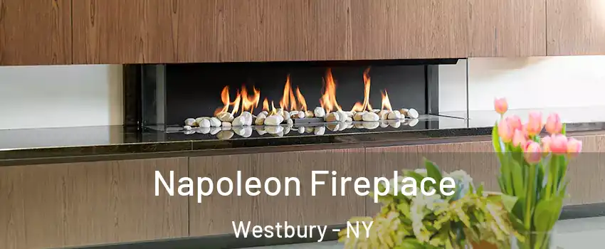  Napoleon Fireplace Westbury - NY