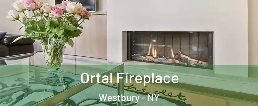 Ortal Fireplace Westbury - NY