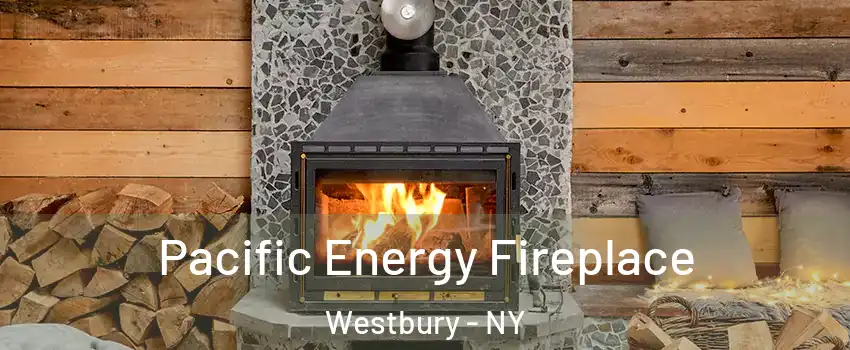  Pacific Energy Fireplace Westbury - NY