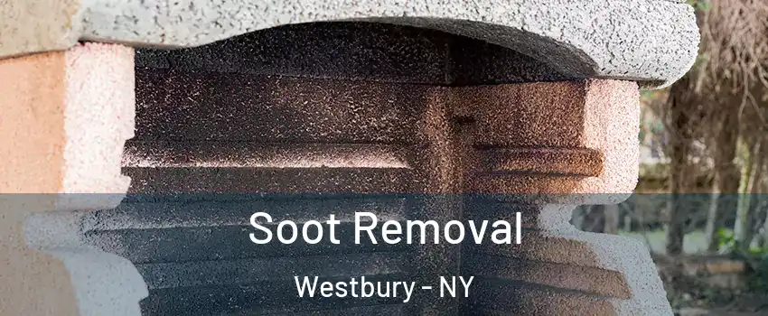  Soot Removal Westbury - NY