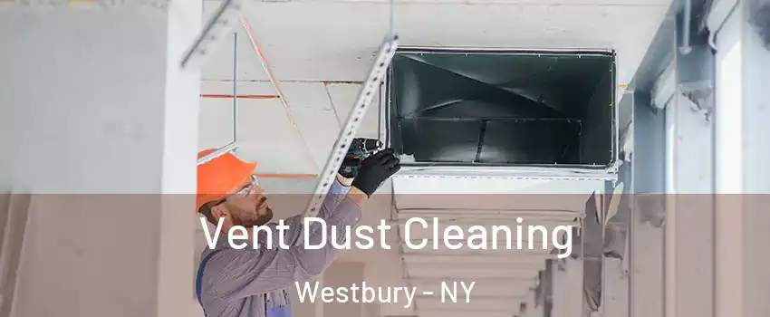  Vent Dust Cleaning Westbury - NY