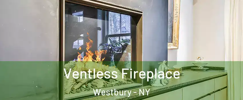  Ventless Fireplace Westbury - NY